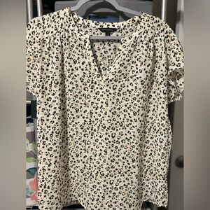 Animal print blouse with flutter sleeve